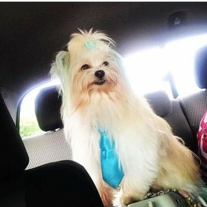 Bundles and Discounts